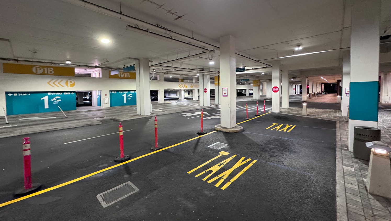 side view of new taxi markings for Ala Moana Shopping Center parking lot